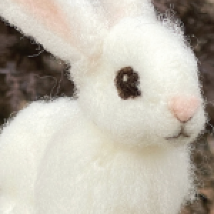 Profile photo of Siana Leier